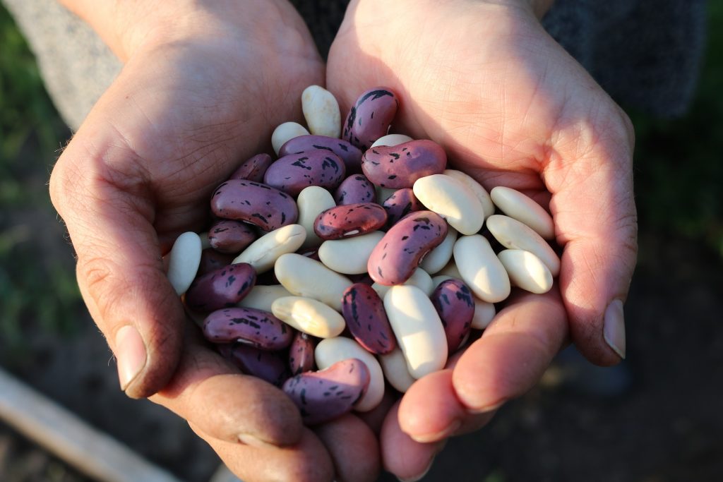 legumes improve heart health